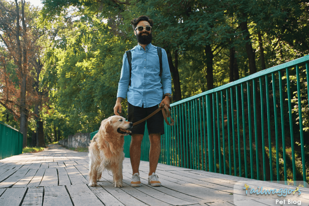 man walking his dog over a bridge. Fun tips