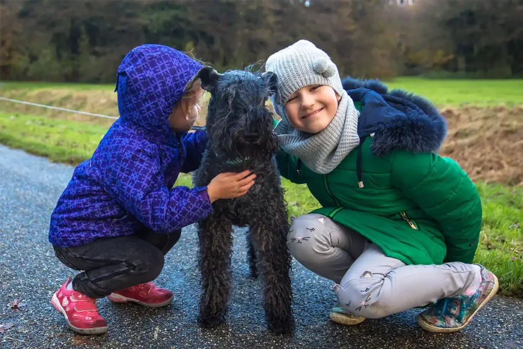 Two young women hugging their Kerry Blue Terrier during a winter walk, demonstrating the emotional rewards of investing in this breed
