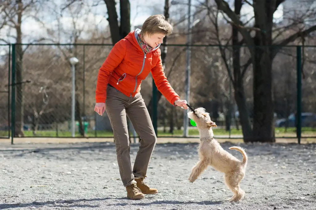 Young girl playing with Lakeland Terrier puppy, illustrating the emotional rewards of investing in this active breed