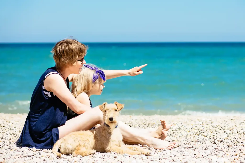 Family bonding with Lakeland Terrier at beach, demonstrating breed's need for enrichment activities and outdoor adventures