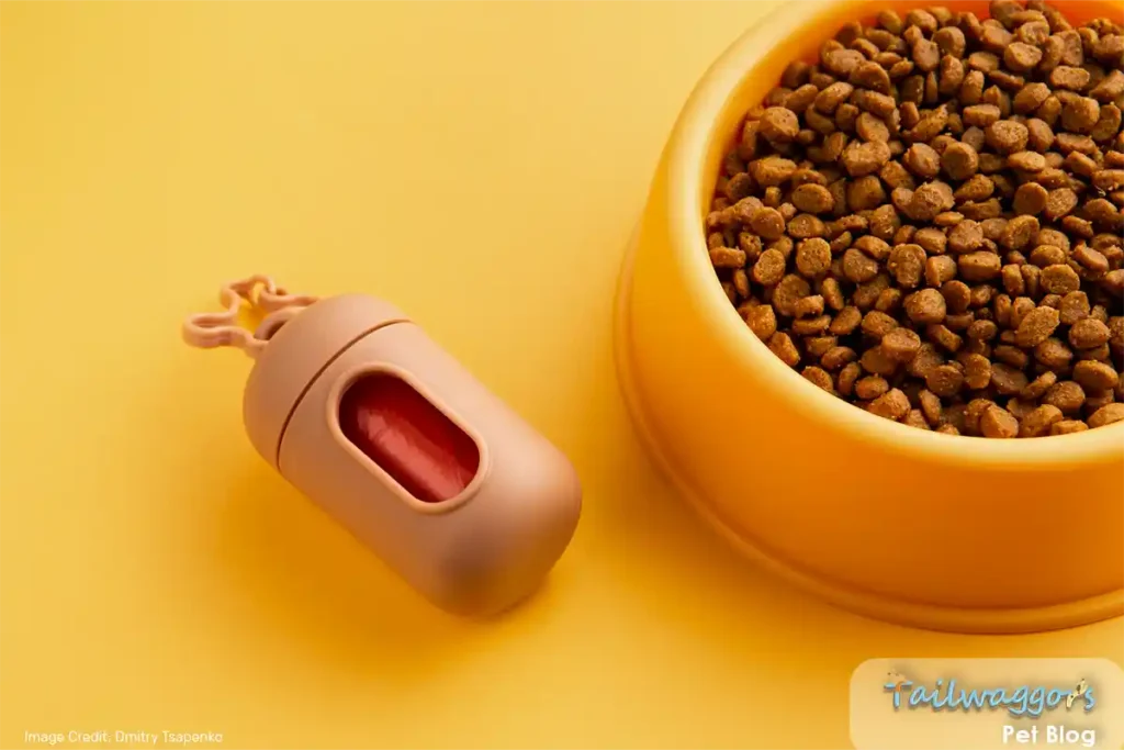 A set of feeding tools alongside cat food, illustrating the importance of precise portion control for an Ragdoll cat’s dietary needs