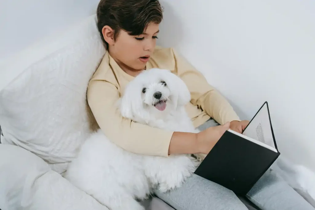 Bichon Frise cuddling comfortably with child reading a book on couch, nestled lovingly under child's arm