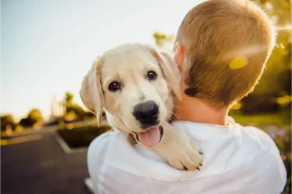A happy Golden Retriever playing outdoors with his owner, showcasing the joy of an active and enriched lifestyle for dogs.
