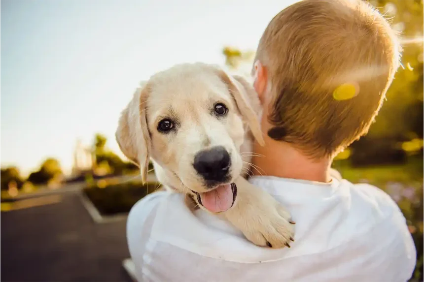 A happy Golden Retriever playing outdoors with his owner, showcasing the joy of an active and enriched lifestyle for dogs.