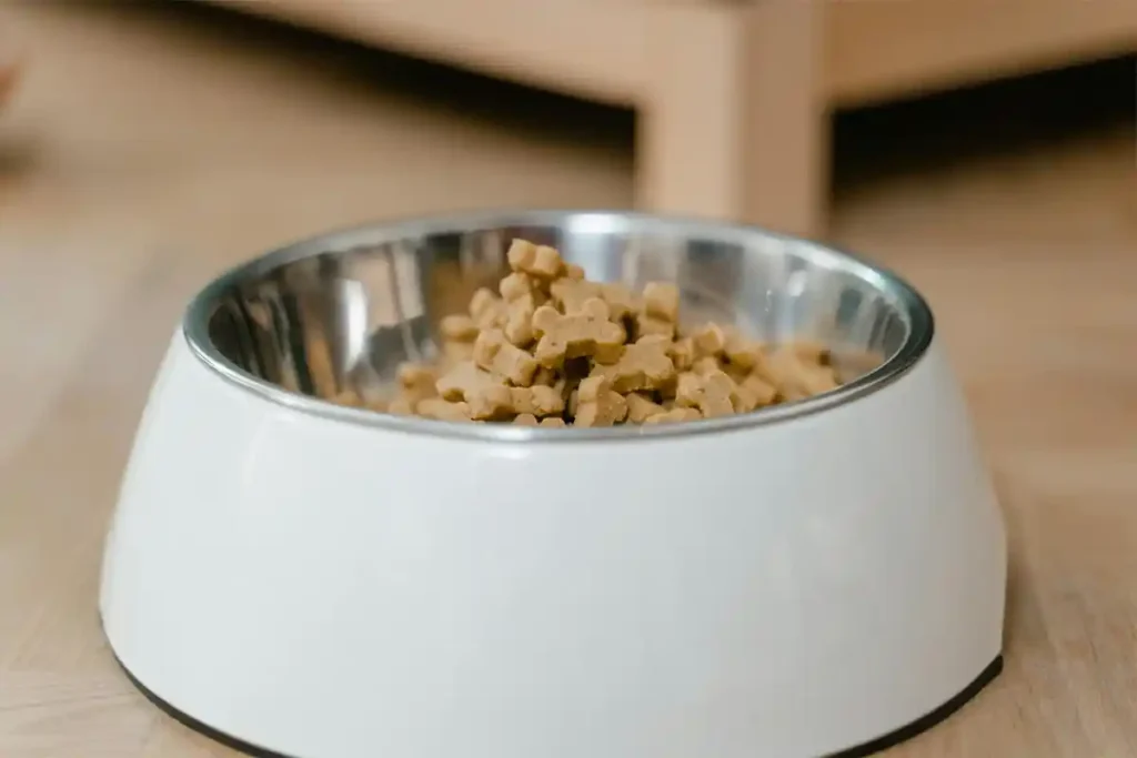 Close-up of a bowl of dog food on a kitchen counter, symbolizing a successful transition to adult dog food.