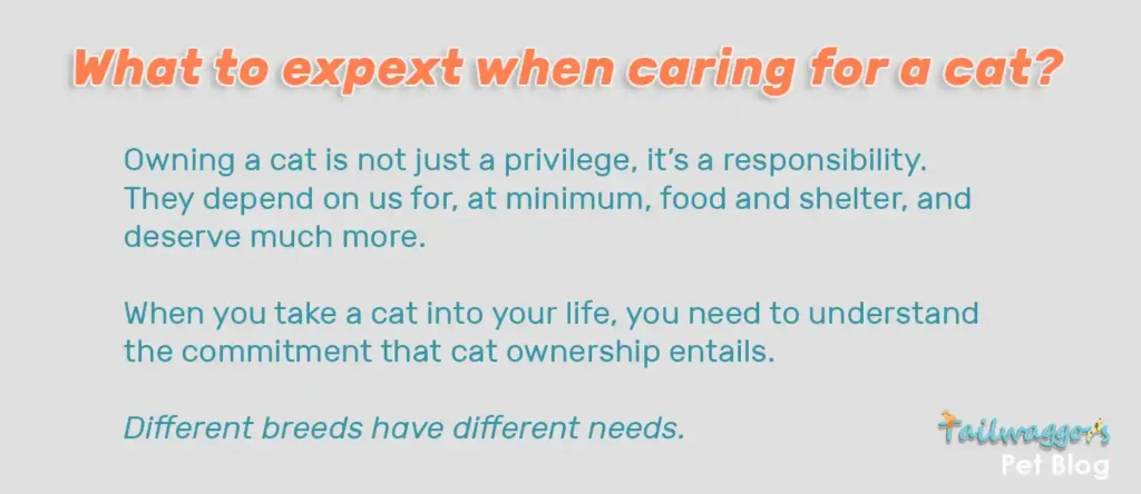 Owning a pet is more than a privilege—it's a commitment. Dogs and cats rely on us for care, love, and understanding their unique needs.
