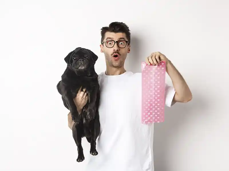 Man holding a senior black dog in his right arm and an empty pink gift bag in his left, looking confused.